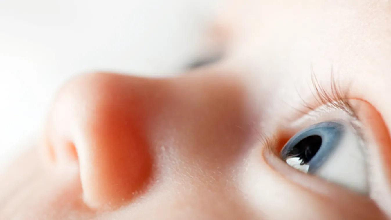 Az eddigi legrészletesebb felvétel készült el egy újszülött tüdejéről