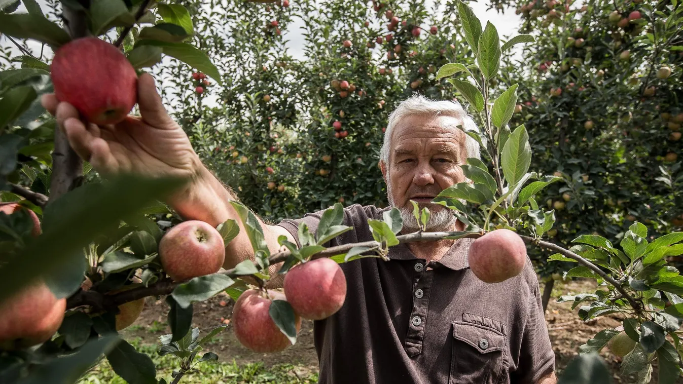 Megállapodtak a termelők a felvásárlókkal