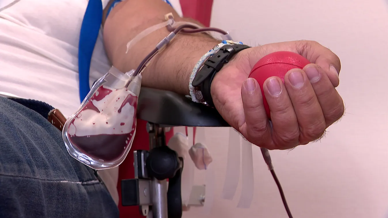 Naponta 1600-1800 véradóra van szükség