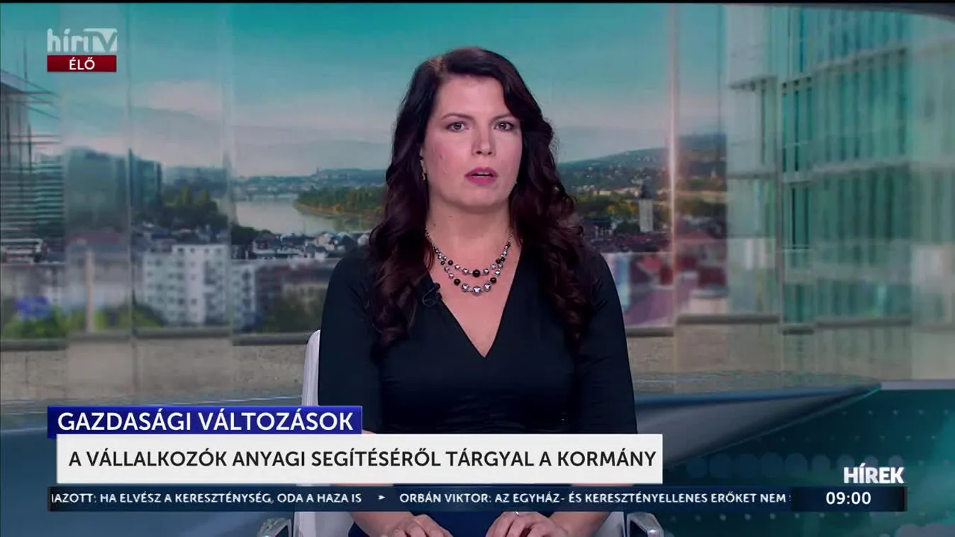 A VÁLLALKOZÓK ANYAGI SEGÍTÉSÉRŐL TÁRGYAL A KORMÁNY