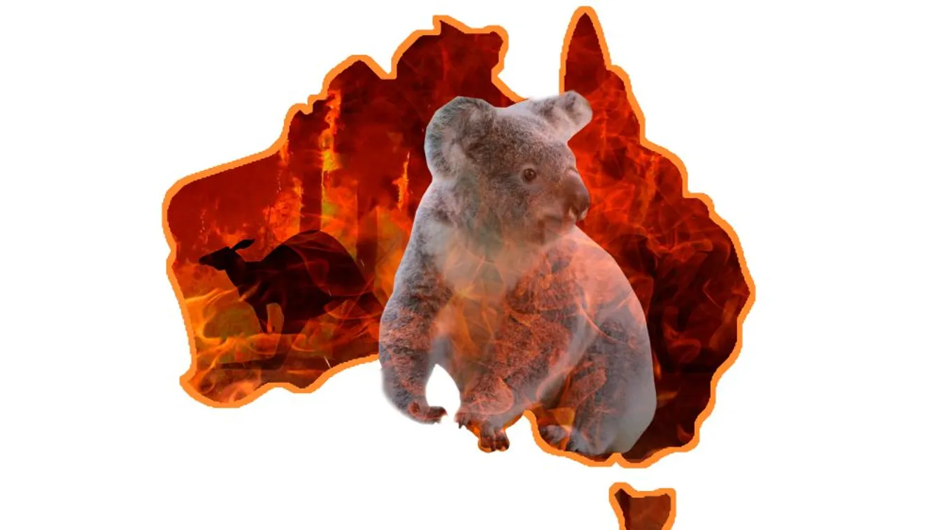 Több mint egymilliárd nagyobb állat pusztulhatott el az ausztráliai erdőtüzekben