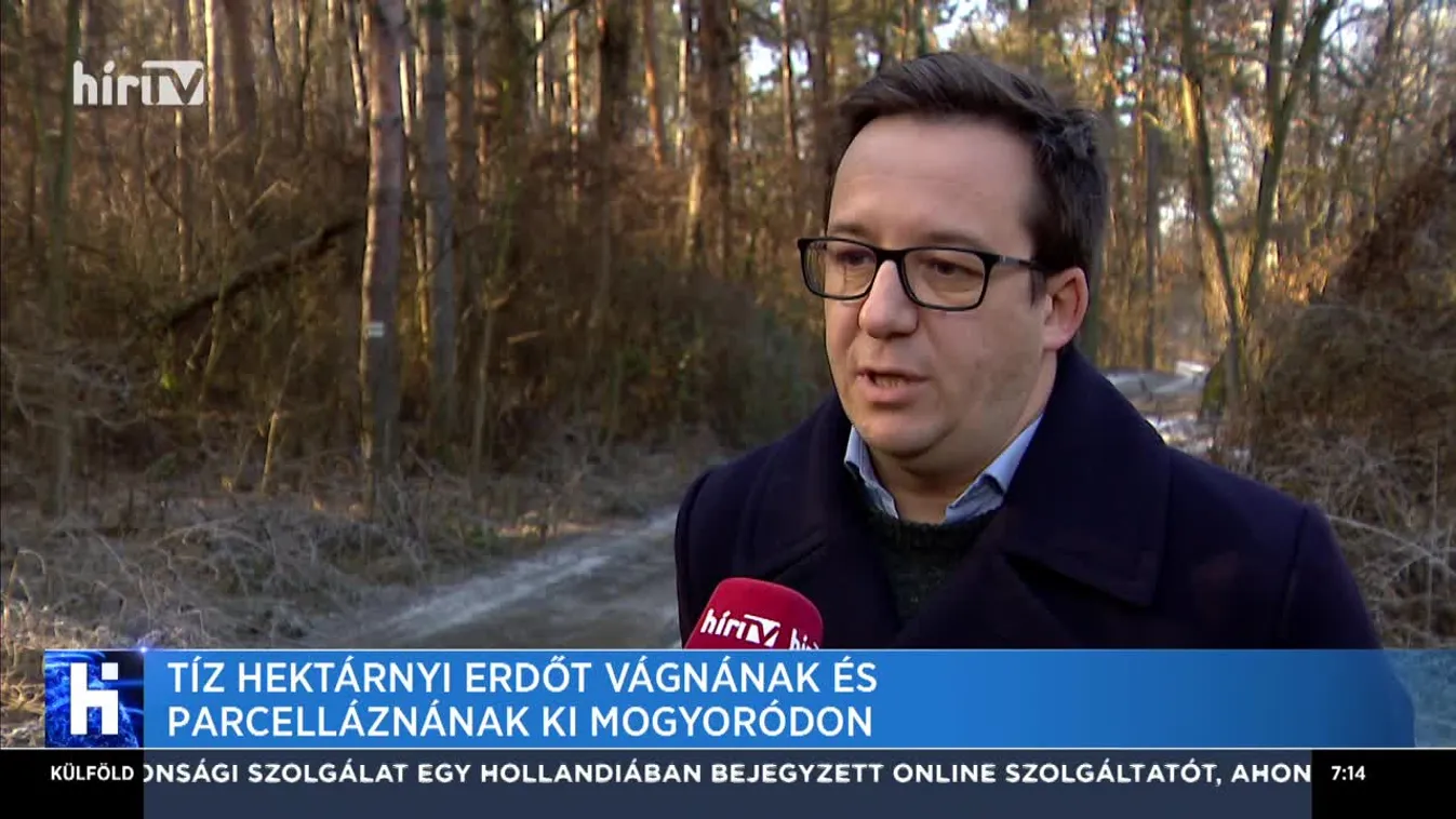 Tíz hektárnyi erdőt vágnának és parcelláznának ki Mogyoródon