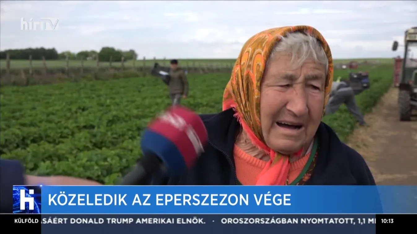 Közeledik az eperszezon vége