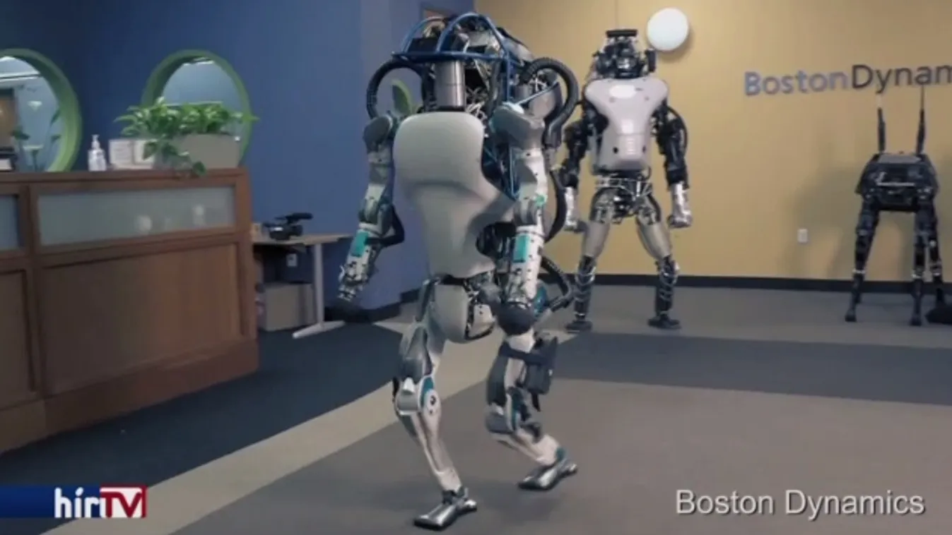 A gépek lázadása?