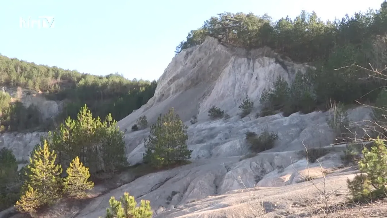 Zöldövezet: Vadlányok barlangja