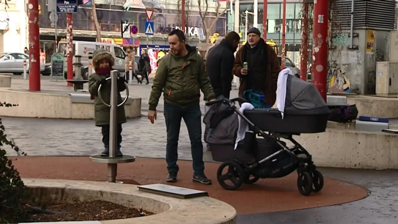 A kormány helyett a Momentum száll harcba az Ausztriában dolgozó magyarokért