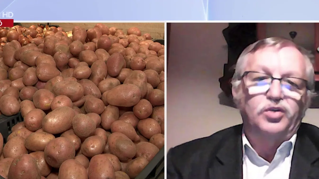 Az év végére elfogyhat a zöldség?