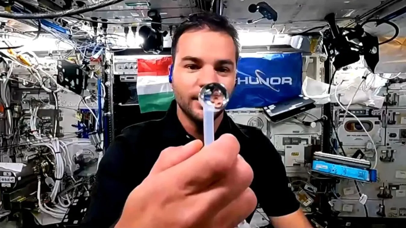 Kapu Tibor forradalmi muslica-kísérlete az űrben: ez megváltoztat mindent