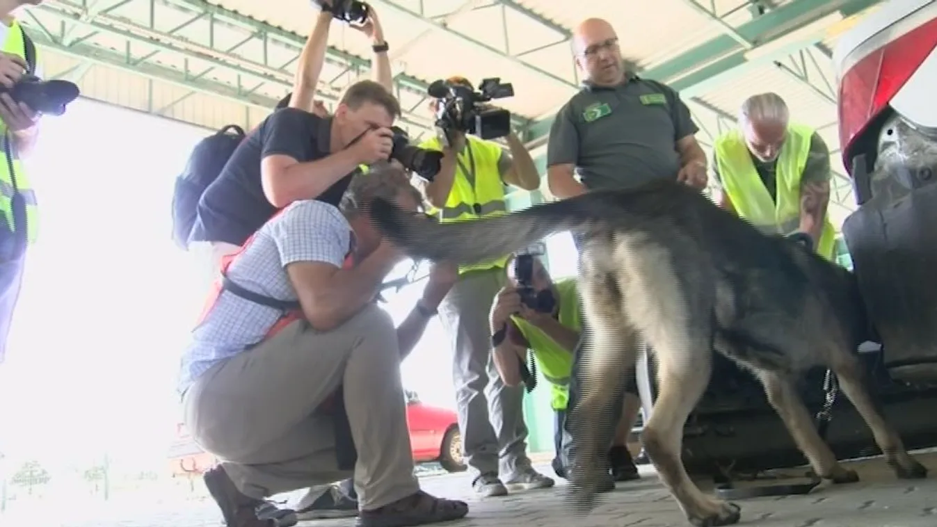 Keresőkutya kontra újságíró?