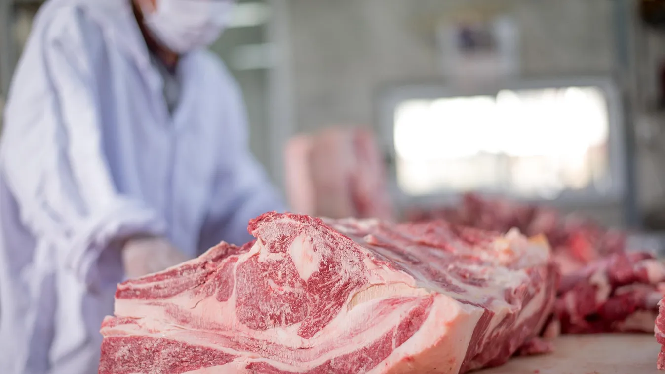 Ne reménykedjünk az olcsóbb sertéshúsban