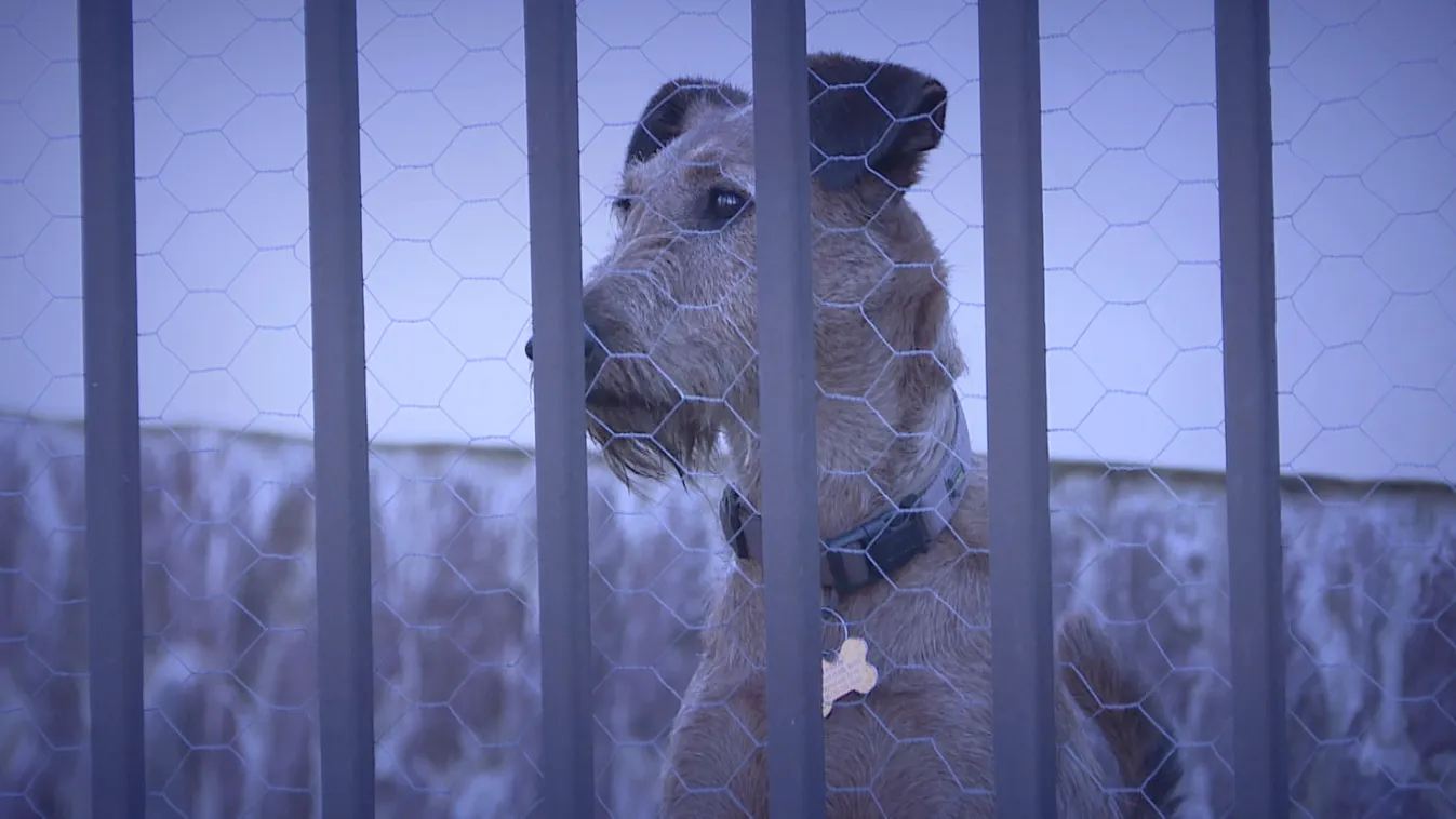 Riasztás: Az anyagyilkos