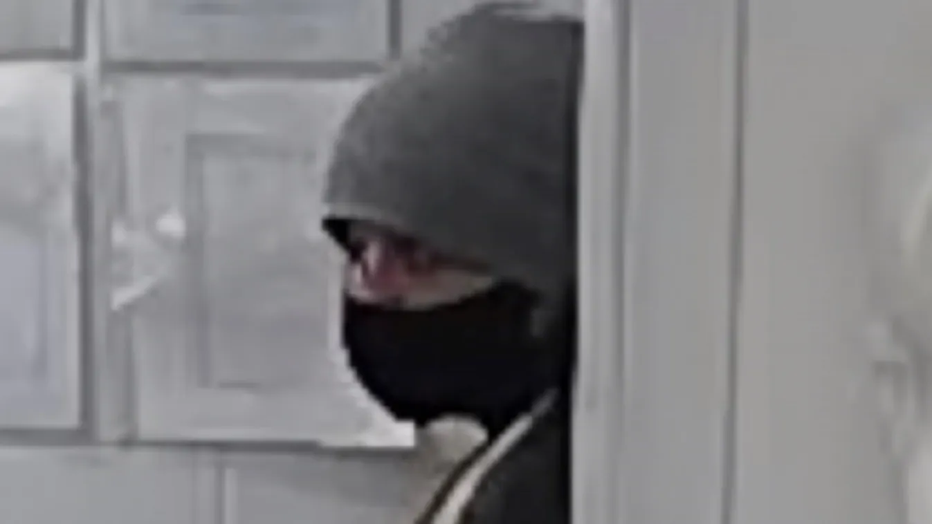 Segítsen azonosítani!