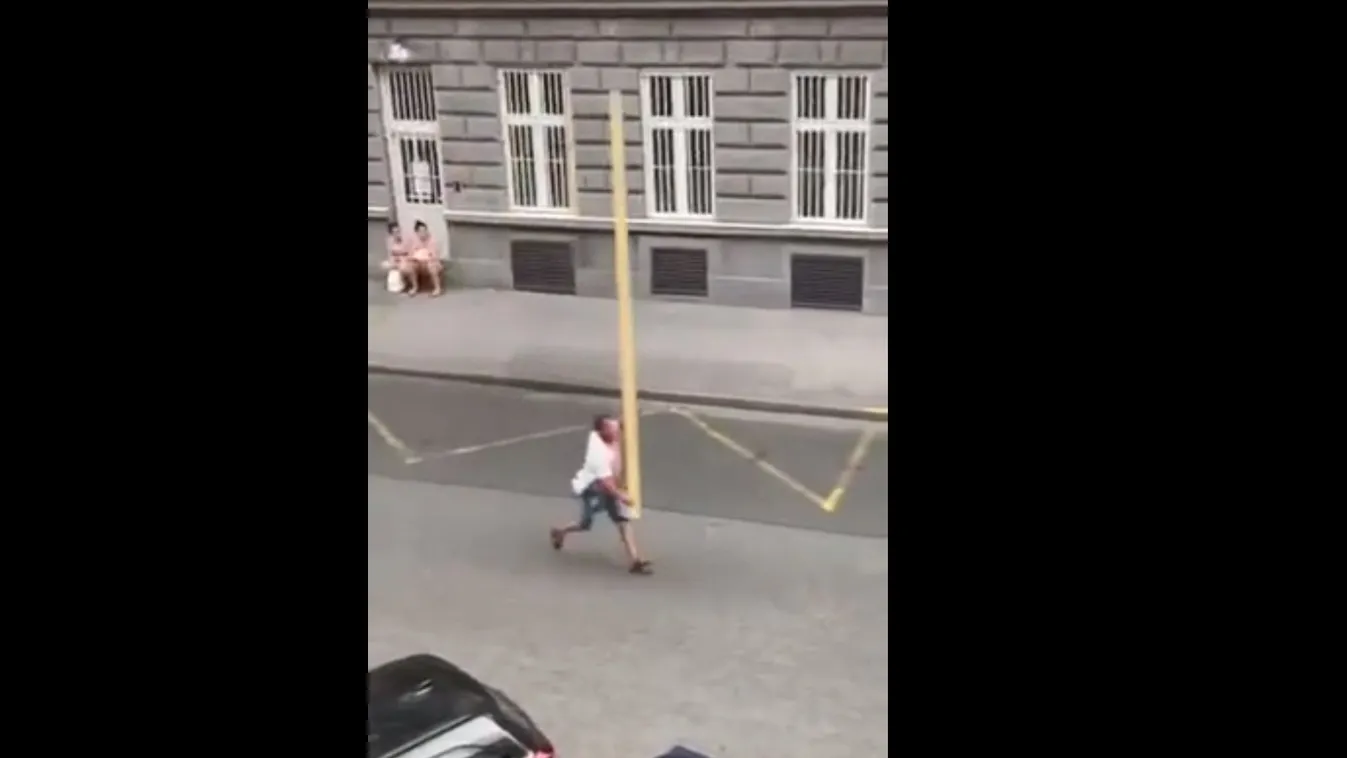 Lecsapott a blahai láma, ötméteres léccel üldözte áldozatát