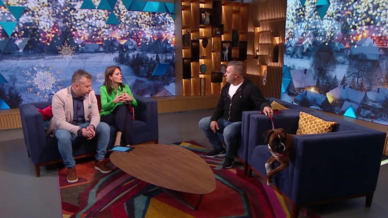 Mozaik - Még most is keresik a szilveszterkor elveszett kutyákat