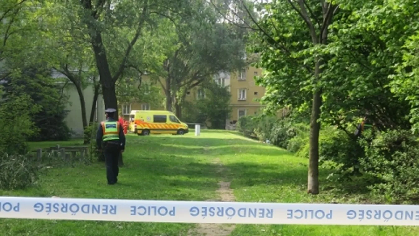 Tizenéves fiú gyilkolhatott Tatabányán