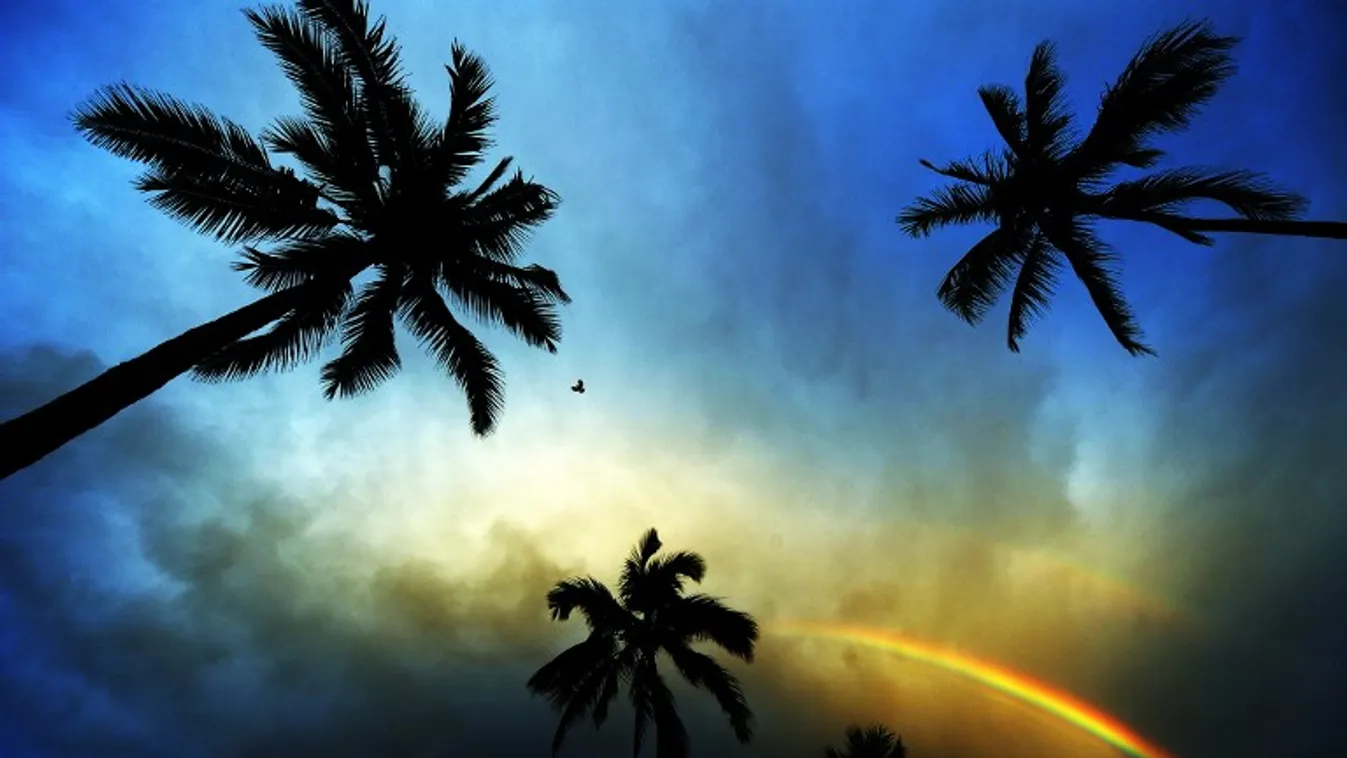 Hawaii szigetén járunk – BBC Travel Show