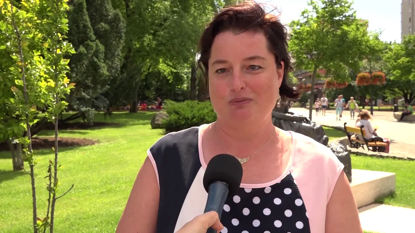 Megvan a DK jelöltje a pesterzsébeti polgármesteri székbe