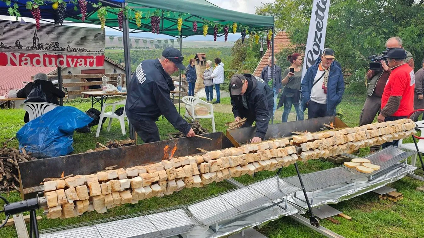 Különleges Guinness-rekordot állítottak fel Emődön