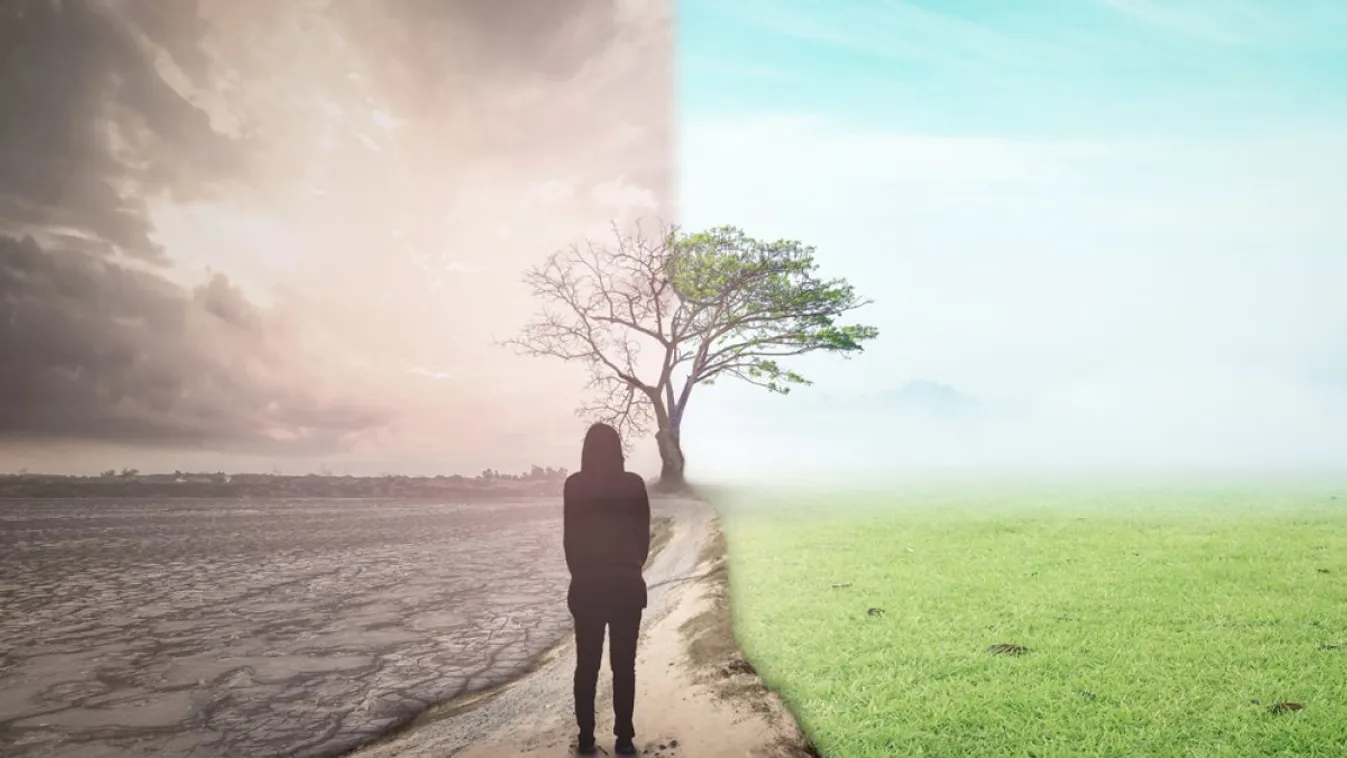 Angol teológus, történész: Az eutanázia terjedése sokat elmond a Nyugat mai prioritásairól