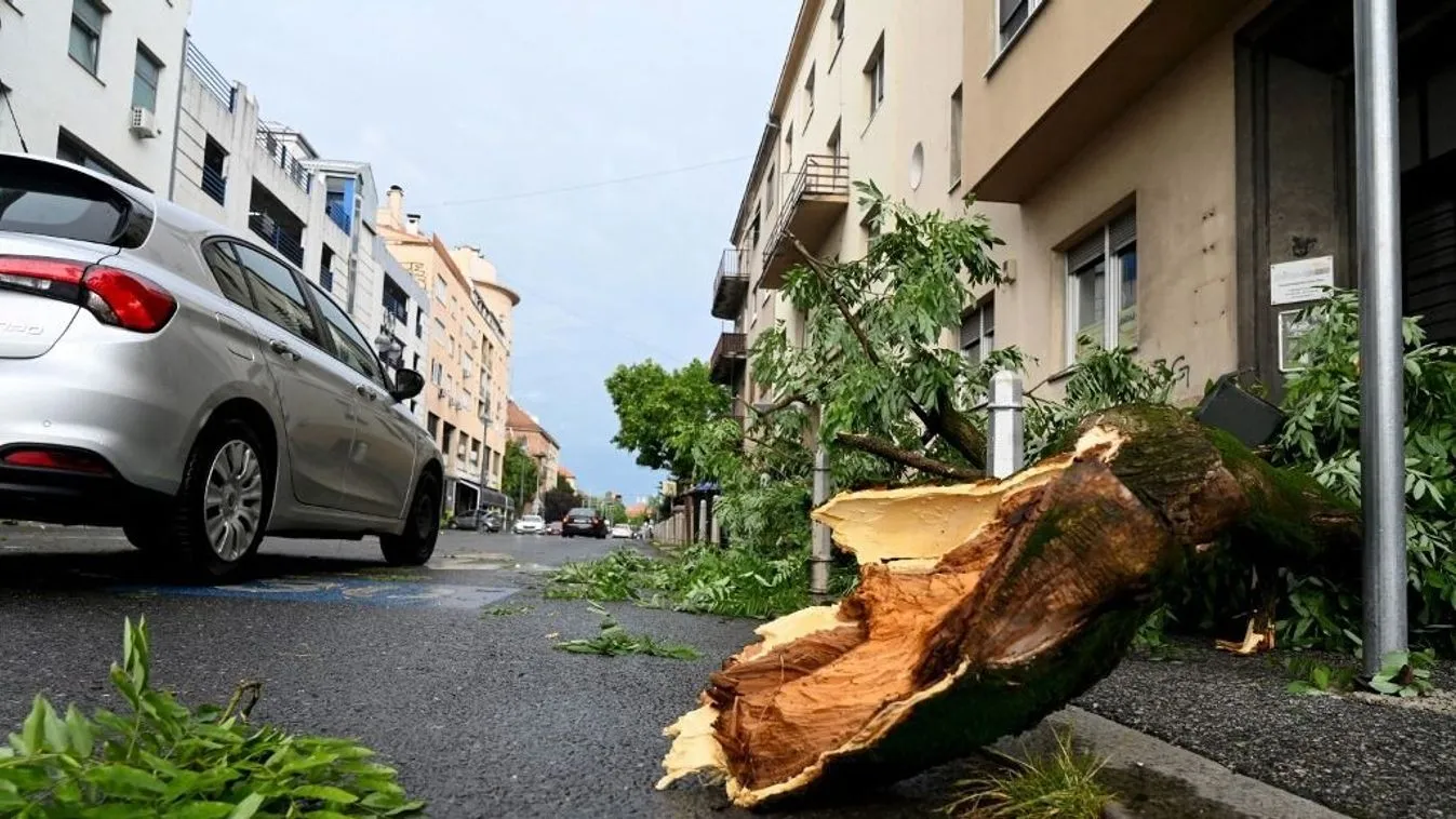 Orbán Viktor: Folyamatosan dolgozunk a viharkárok elhárításán