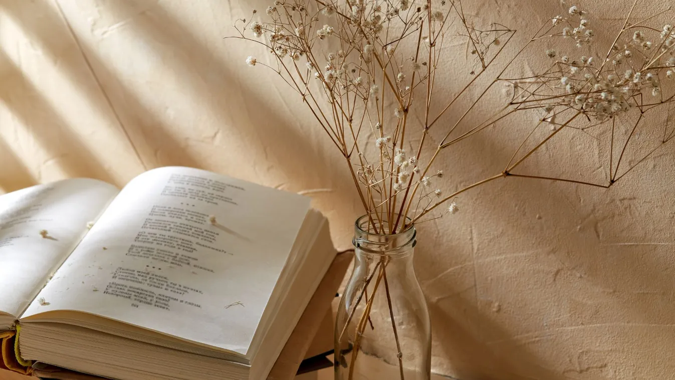 A magyar költészet napja - Tárlatvezetéssel és könyvbemutatóval várja az érdeklődőket az MMA