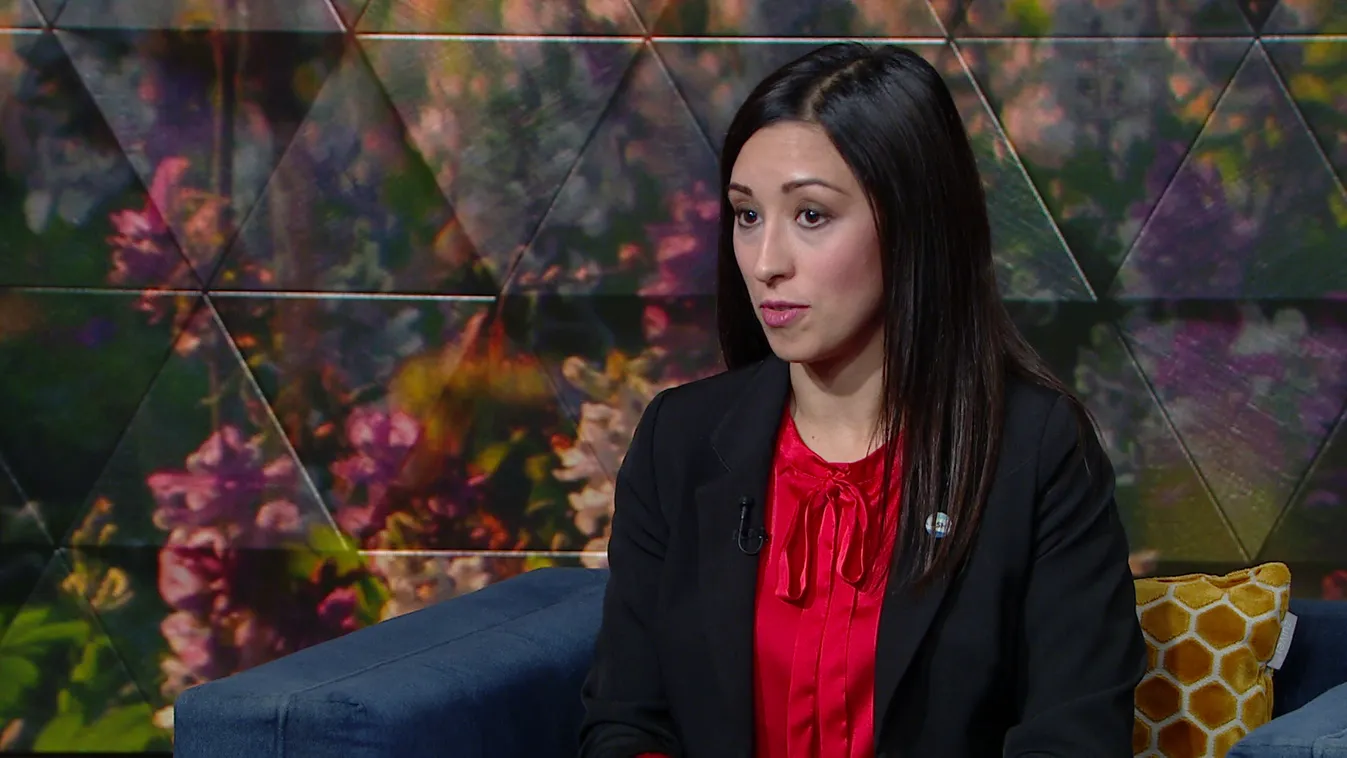 Még tíz napig lehet online kitölteni a népszámlálási kérdőívet