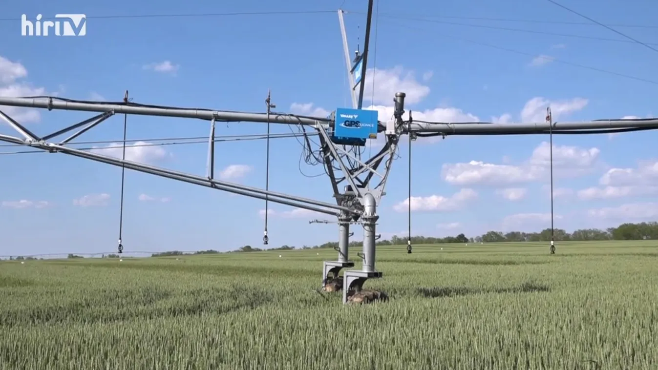 Soroló: Tombol az aszály