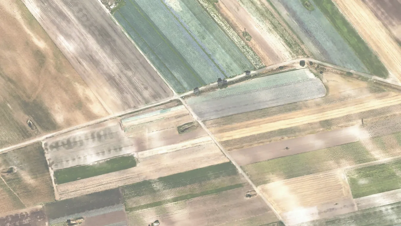 Földmutyi – Egyenesen