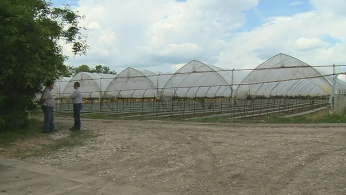 Költözés - Soroló