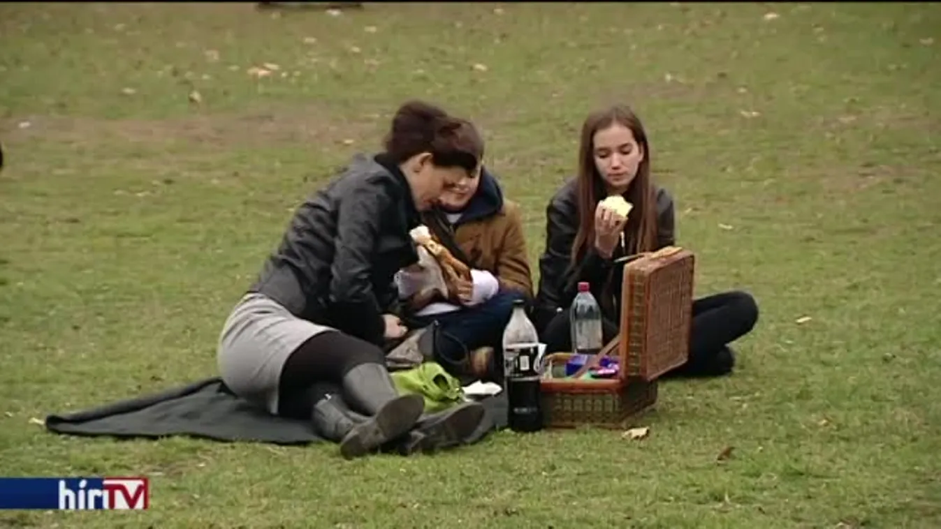 Aktuálpolitizálás helyett piknikkel ünnepel a Momentum