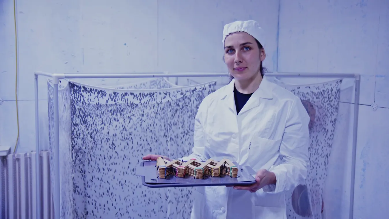 Radar - Légyből liszt