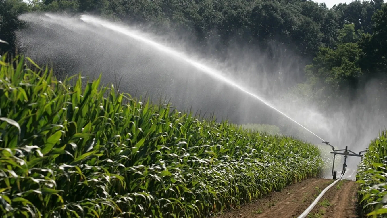 Bulgária további öt évre ellátja öntözővízzel az észak-görögországi Évrosz régiót