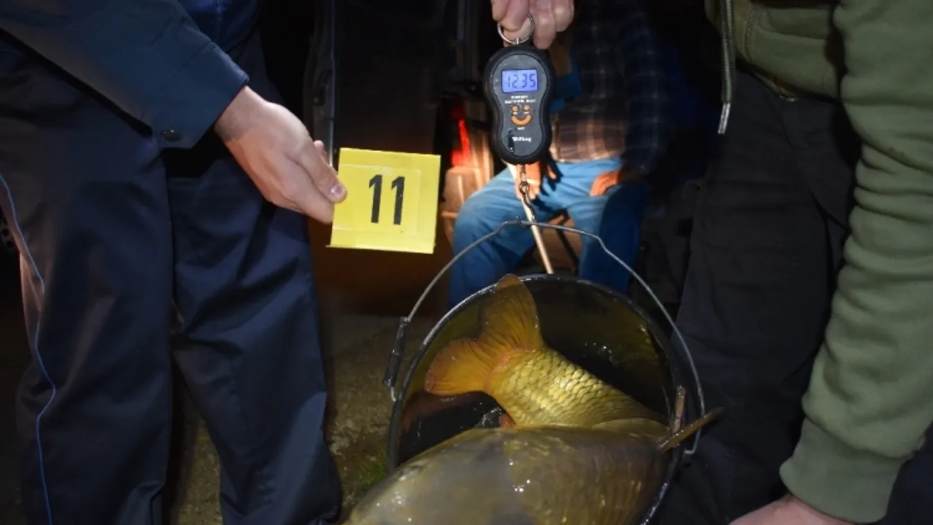 A ponty a közös pont