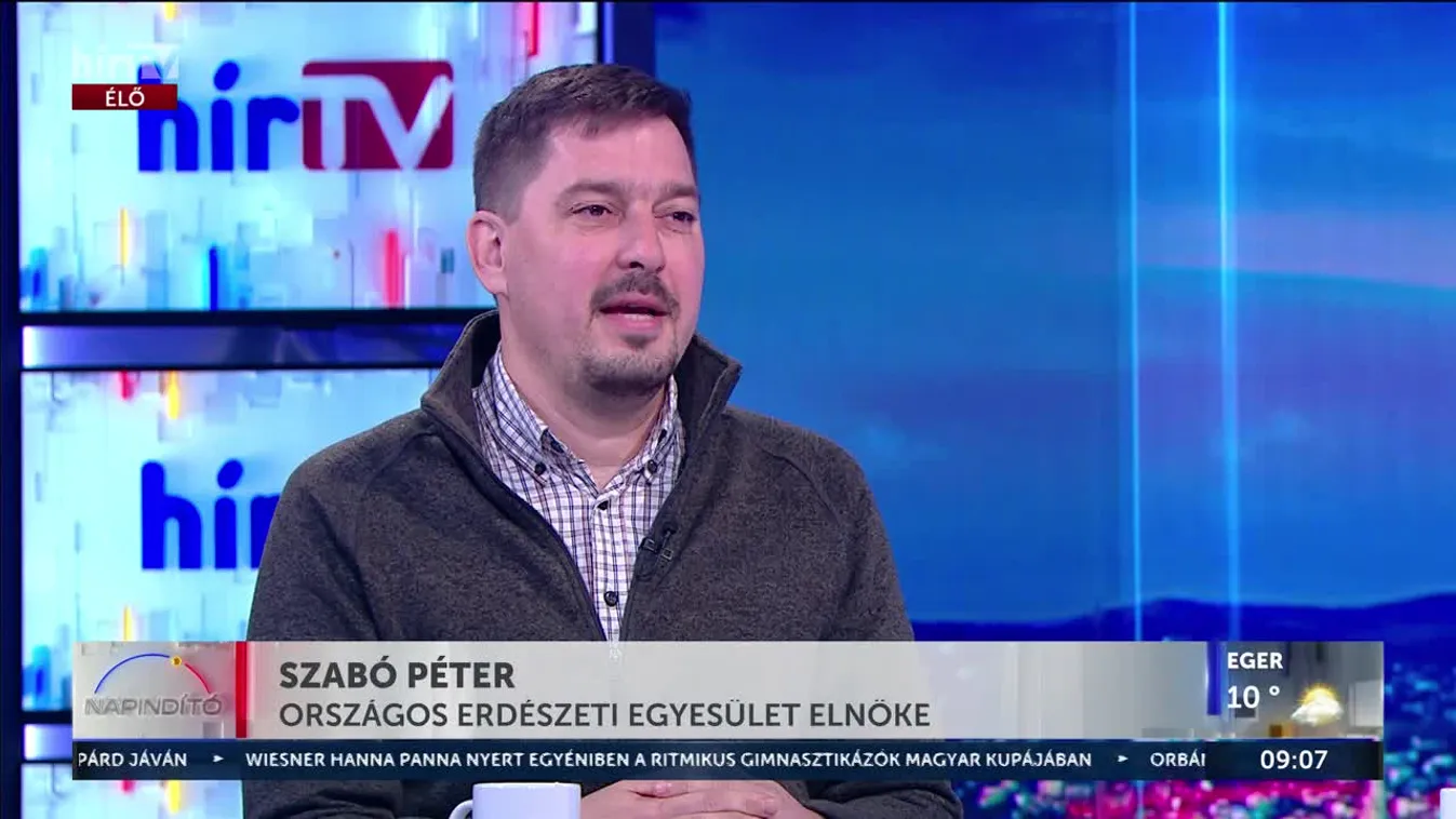 ISKOLÁBAN AZ ERDŐ PROGRAM