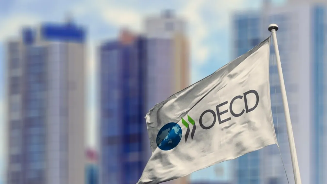 Újabb nemzetközi elismerés