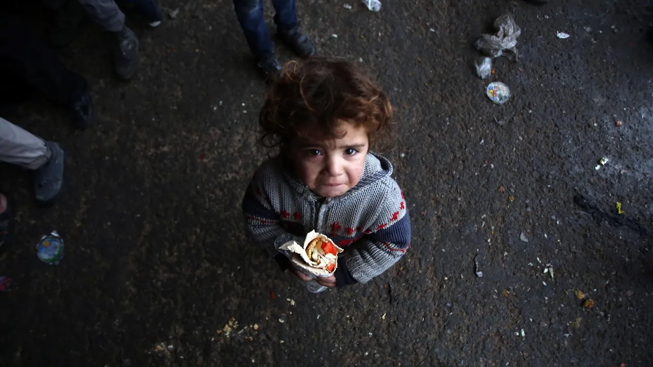 Kvóták – Hírvilág