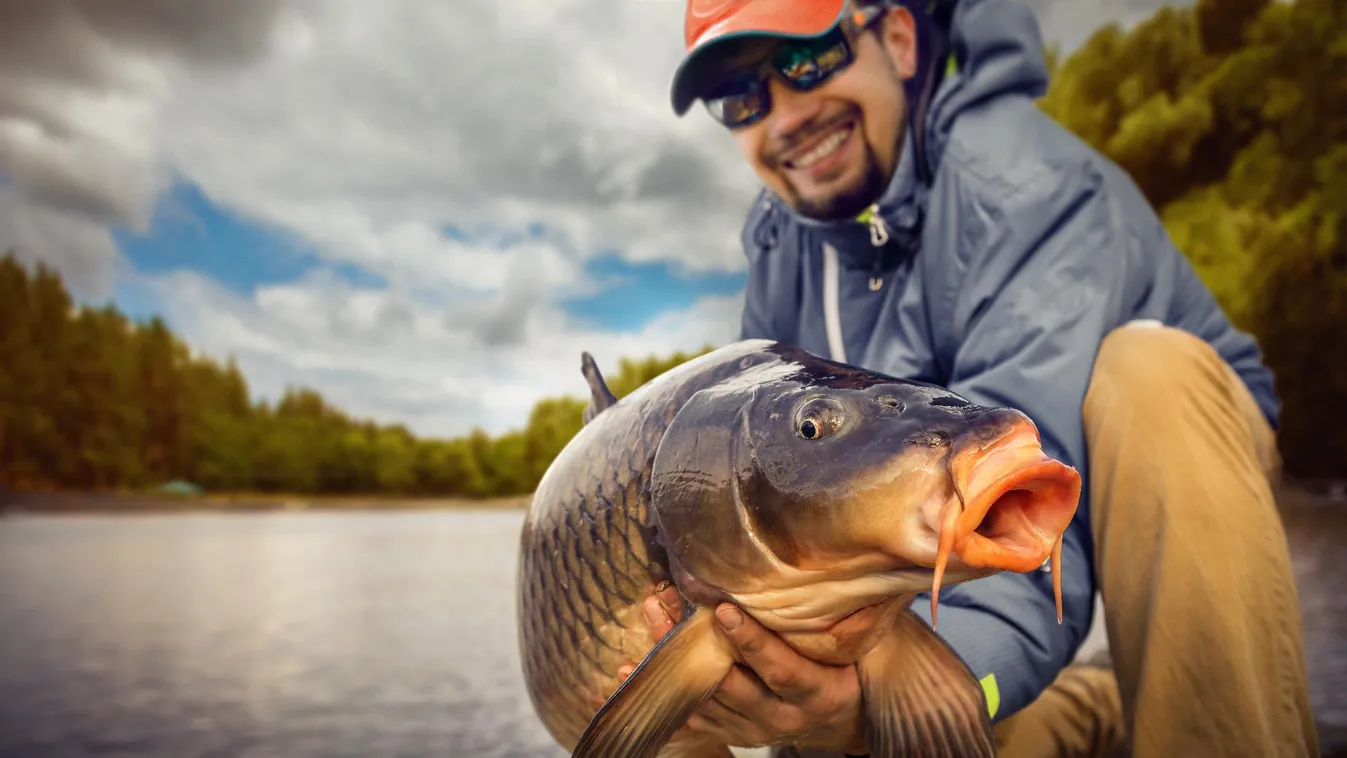 Több forrásra tart igényt a halas szakma