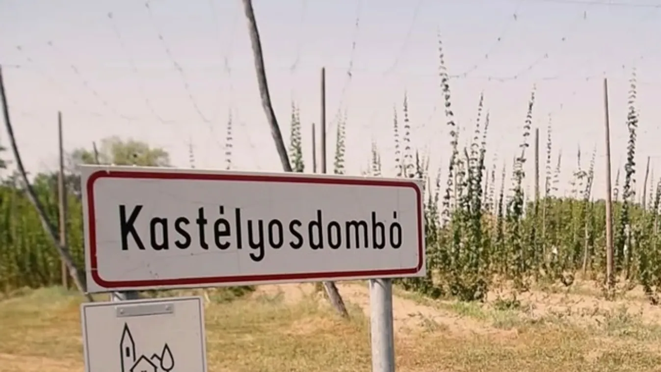 Radar – Újraélesztik a komlótermesztést Magyarországon + videó