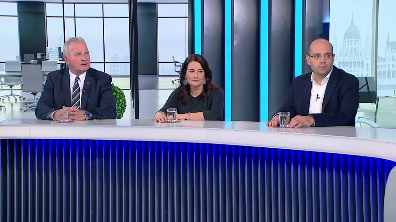 Vezércikk: Zöld utat kapott a precedens értékű népszavazás