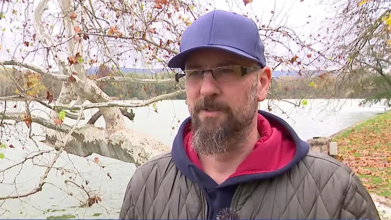 Radar - Idén is megválasztották az év fáját