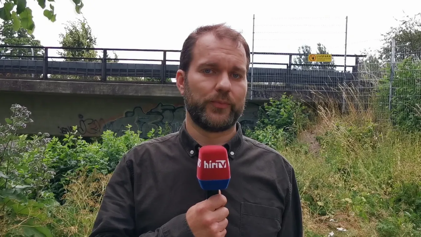 Romlik a közbiztonság Svédországban