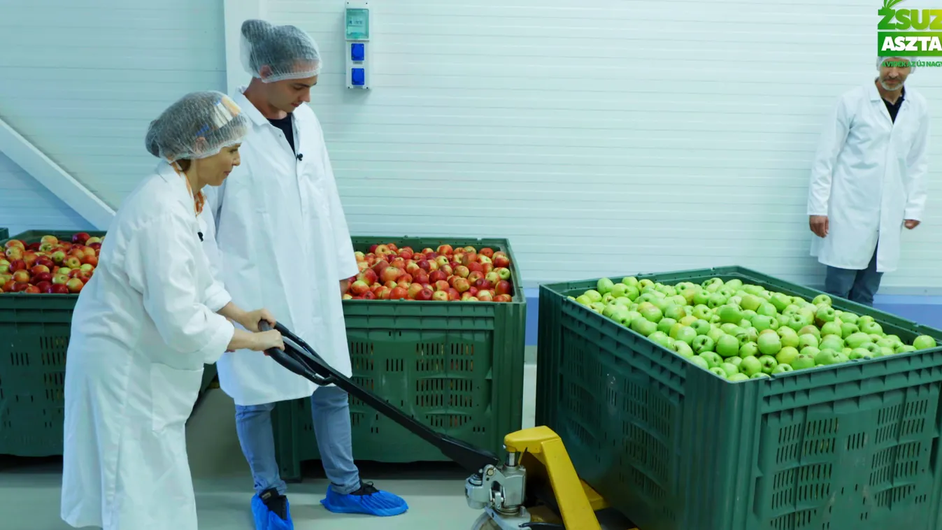 Zsuzsi asztala: Vendégségben a Funky Forestnél