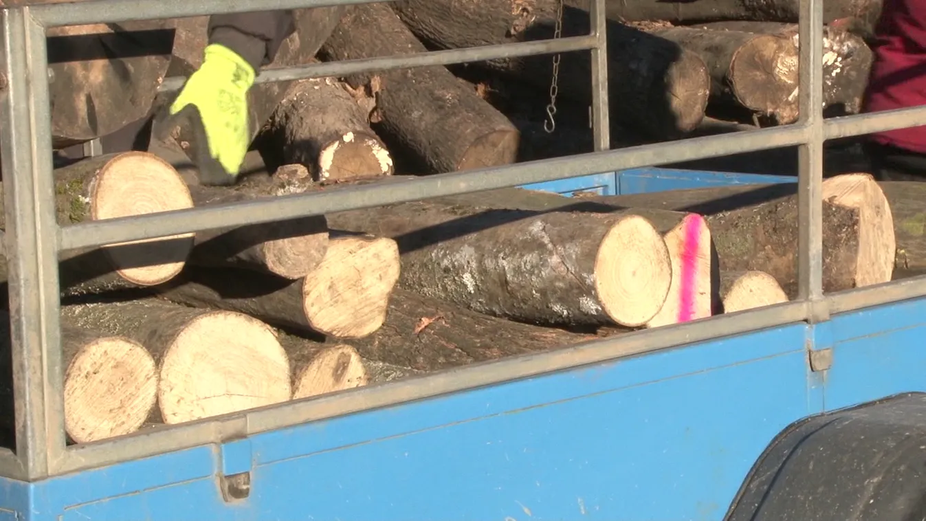 A kormány idén is 5 milliárd forintot különített el a szociális tűzifaprogramra + videó