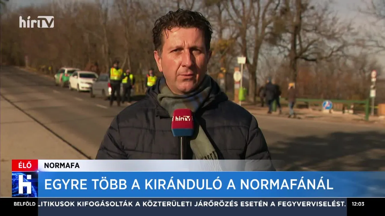 Egyre több a kiránduló a Normafánál