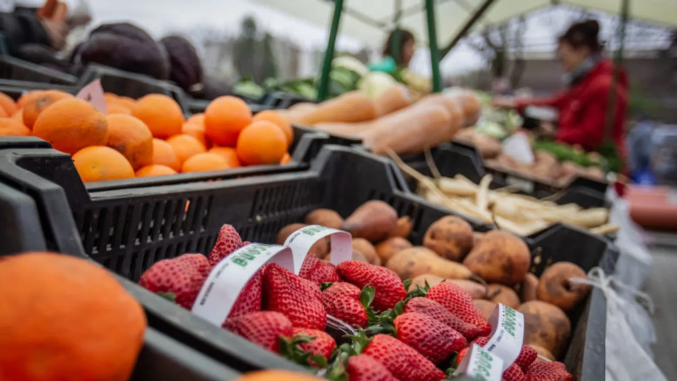 Most a gyümölcsárusok kerültek a NAV fókuszába