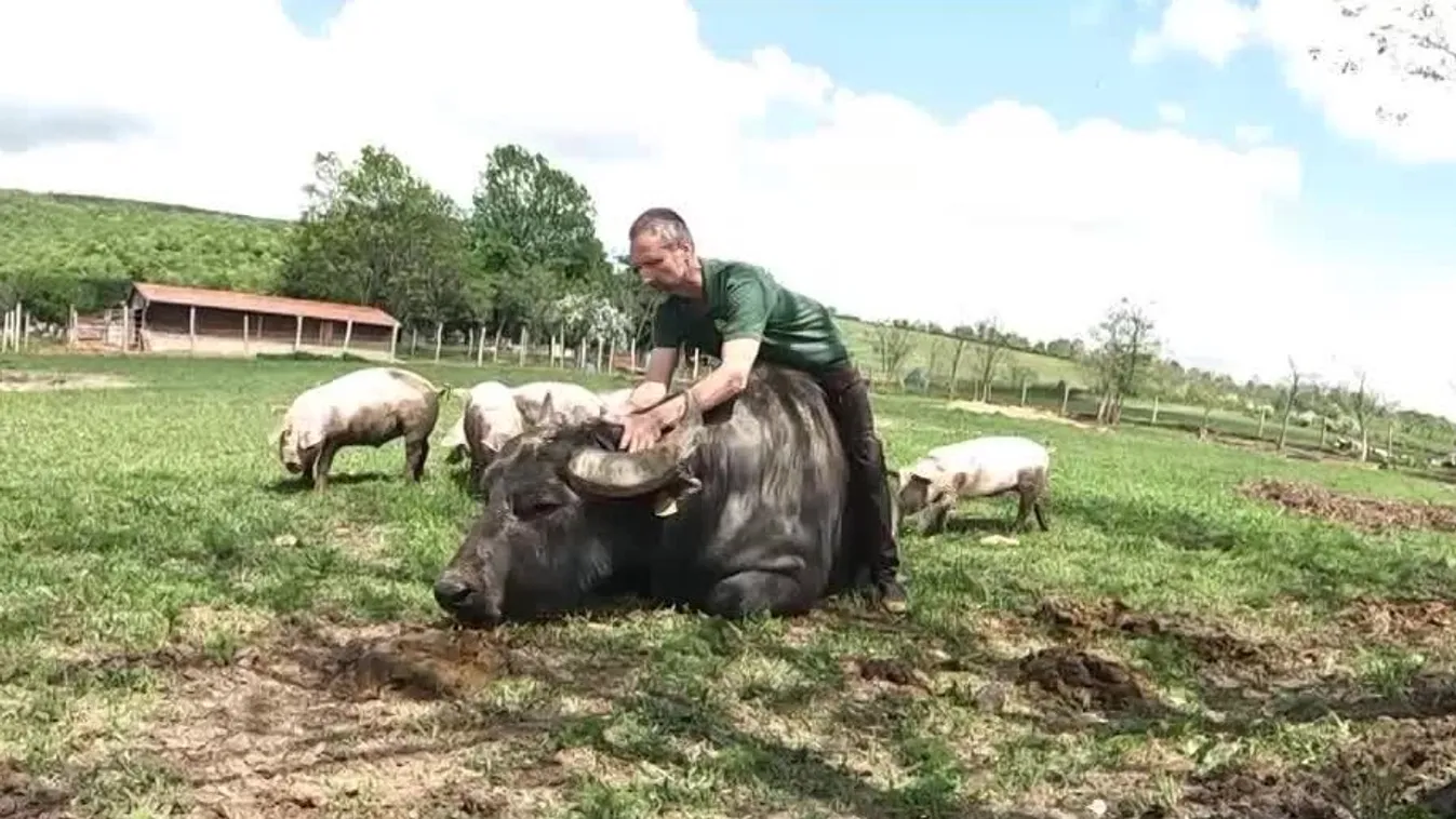 Radar - Bivalyerős élmény a Mátrában