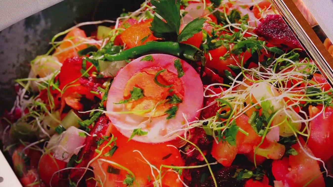 Radar – Nemzetközi szakácskönyvet jelentetett meg a Pécsi Tudományegyetem