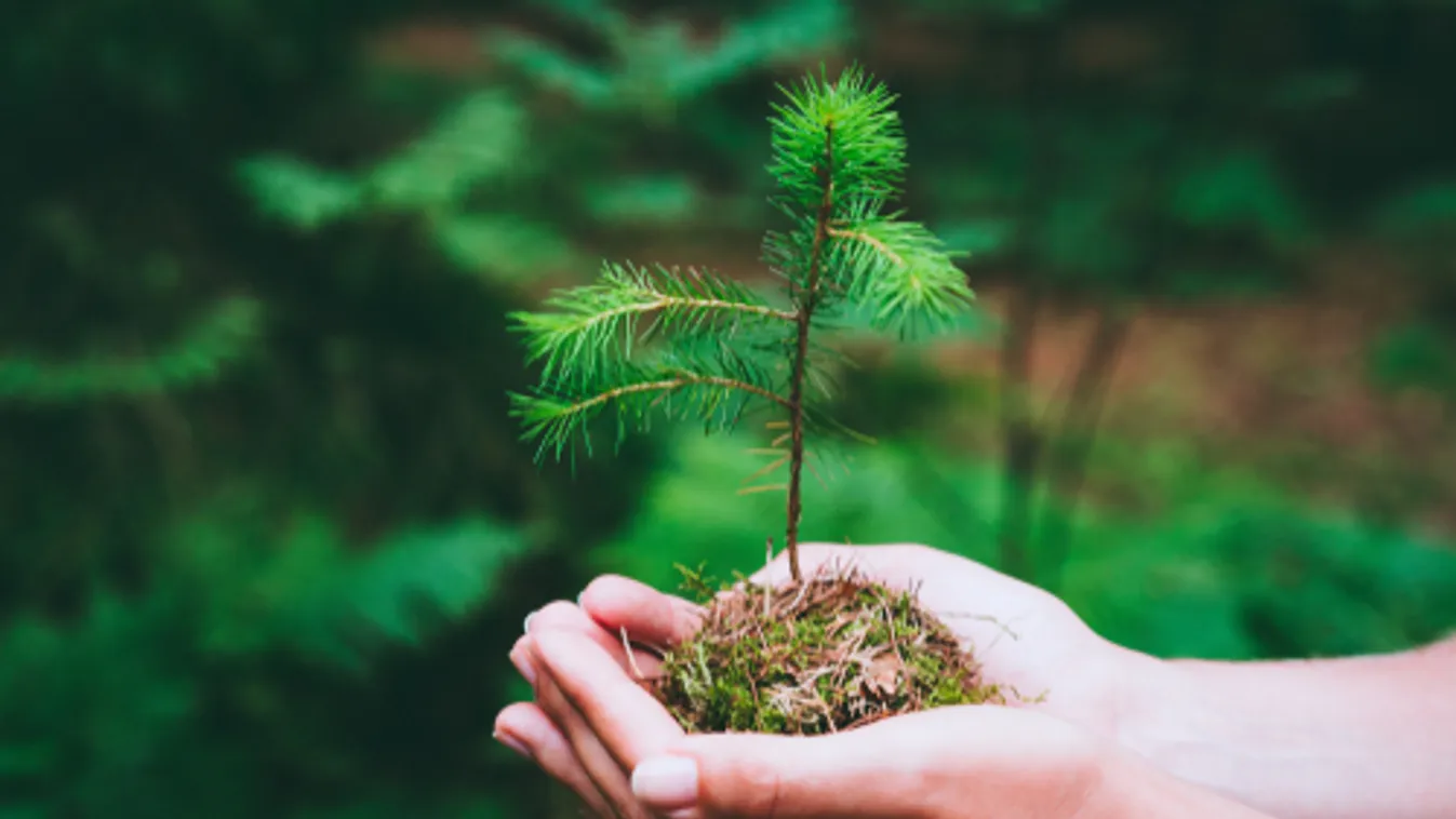 Klíma- és természetvédelmi akciótervet fogadott el a kormány