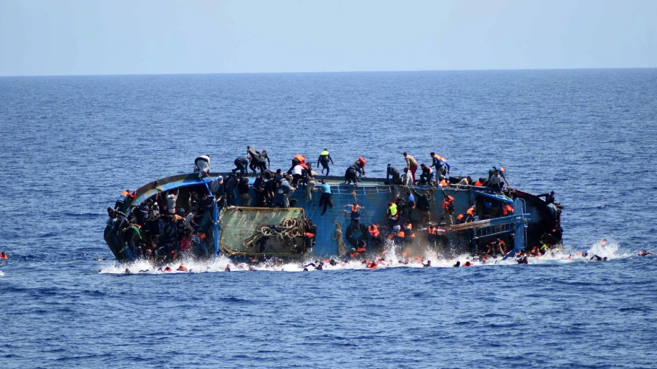 Ingyen migránstaxi – BBC Reporters