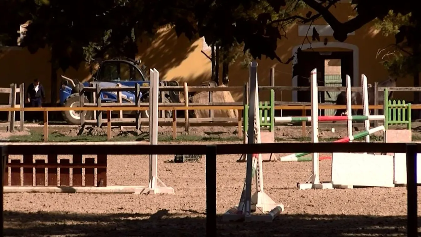 Lázár János Európa mintagazdaságává tenné a mezőhegyesi ménesbirtokot